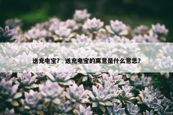 送充电宝？ 送充电宝的寓意是什么意思？