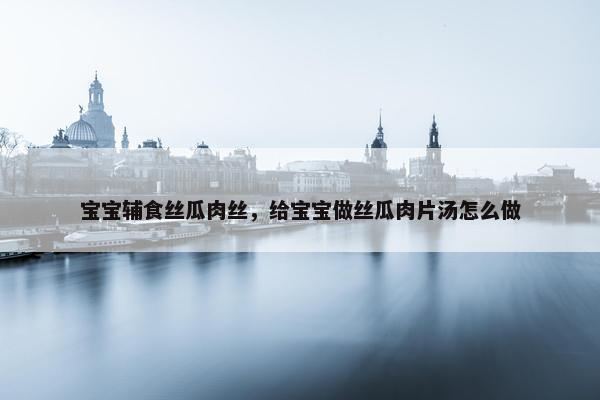 宝宝辅食丝瓜肉丝，给宝宝做丝瓜肉片汤怎么做