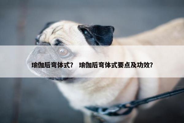 瑜伽后弯体式？ 瑜伽后弯体式要点及功效？