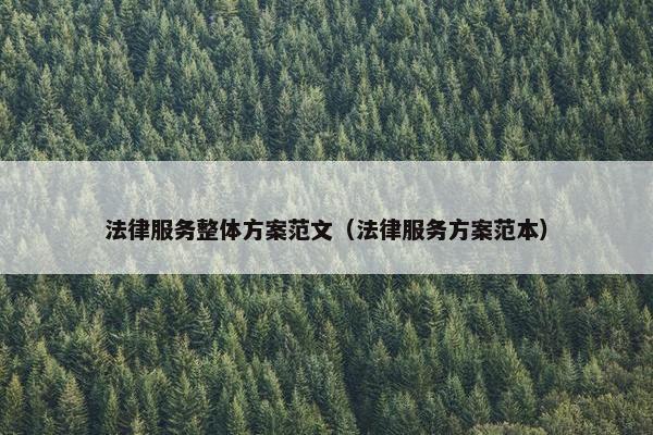 法律服务整体方案范文（法律服务方案范本）