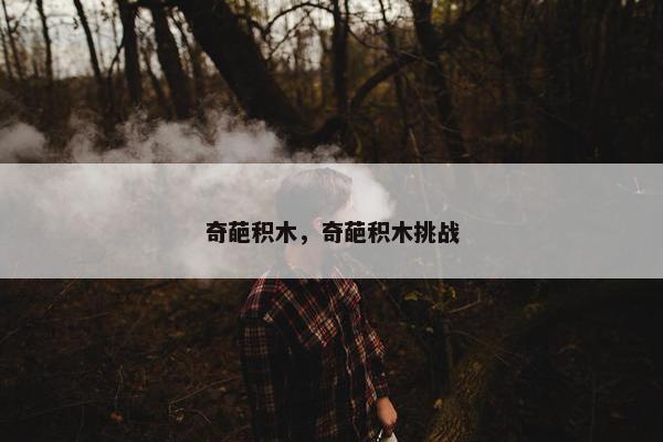 奇葩积木，奇葩积木挑战