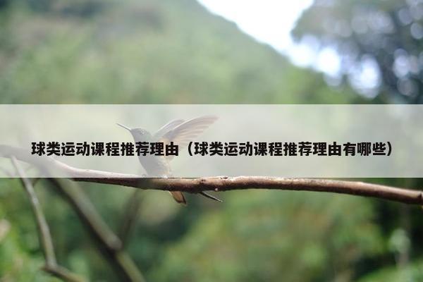 球类运动课程推荐理由（球类运动课程推荐理由有哪些）