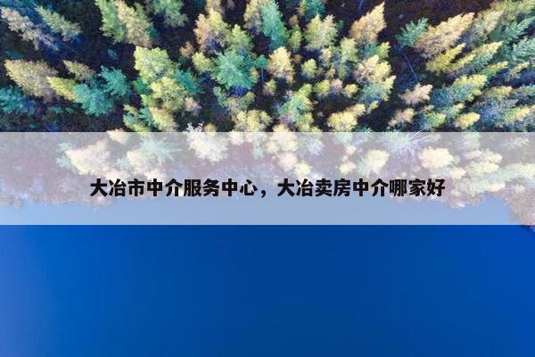 大冶市中介服务中心，大冶卖房中介哪家好