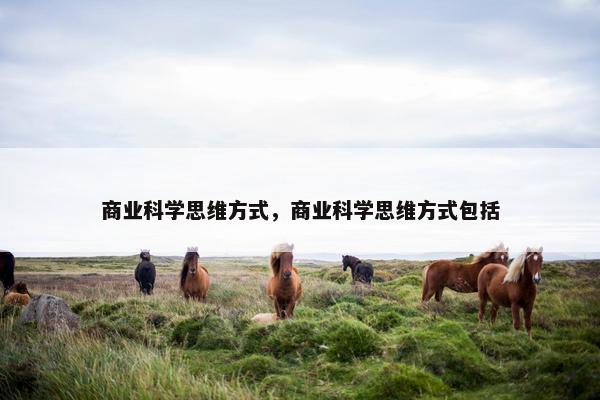 商业科学思维方式，商业科学思维方式包括
