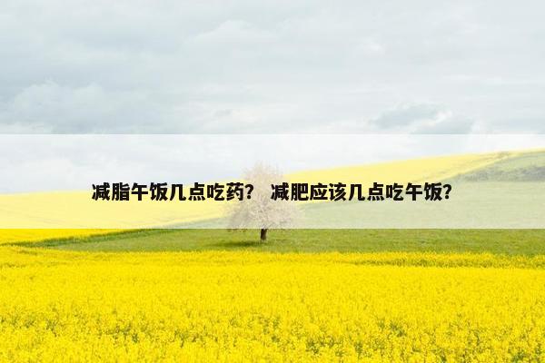减脂午饭几点吃药？ 减肥应该几点吃午饭？