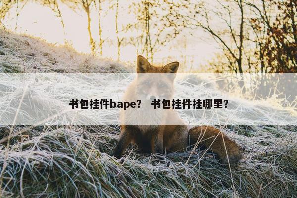 书包挂件bape？ 书包挂件挂哪里？