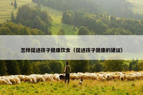 怎样促进孩子健康饮食（促进孩子健康的建议）