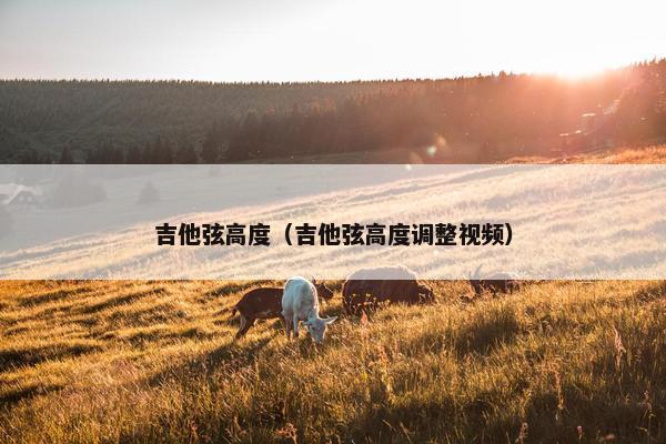 吉他弦高度（吉他弦高度调整视频）