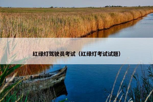 红绿灯驾驶员考试（红绿灯考试试题）
