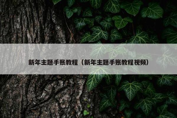 新年主题手账教程（新年主题手账教程视频）
