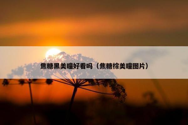 焦糖黑美瞳好看吗（焦糖棕美瞳图片）