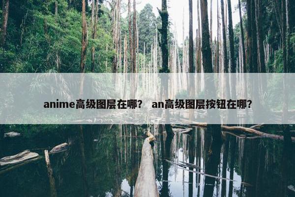 anime高级图层在哪？ an高级图层按钮在哪？