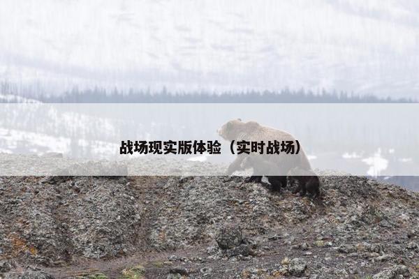 战场现实版体验（实时战场）