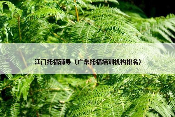 江门托福辅导（广东托福培训机构排名）
