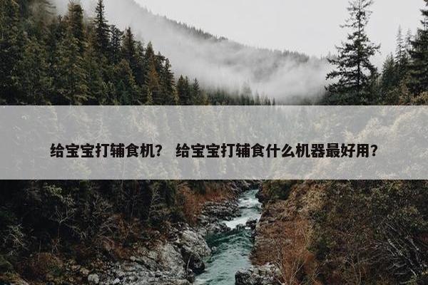 给宝宝打辅食机？ 给宝宝打辅食什么机器最好用？