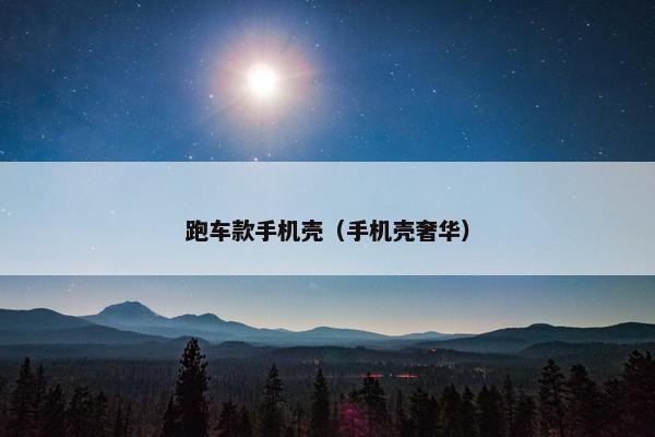 跑车款手机壳（手机壳奢华）