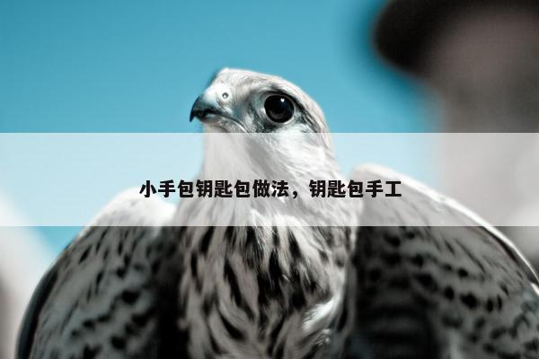 小手包钥匙包做法，钥匙包手工