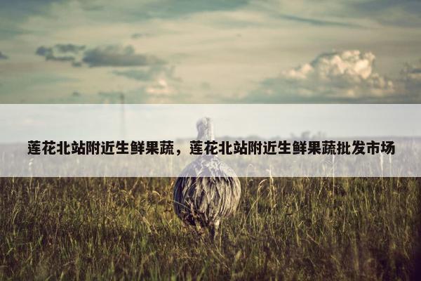 莲花北站附近生鲜果蔬，莲花北站附近生鲜果蔬批发市场