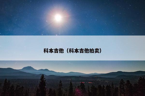 科本吉他（科本吉他拍卖）