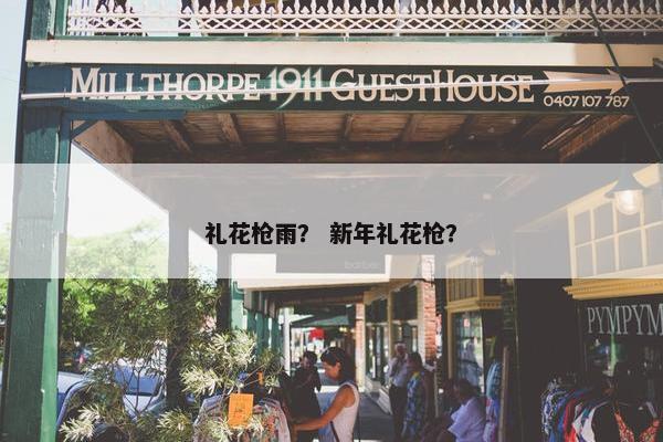 礼花枪雨？ 新年礼花枪？