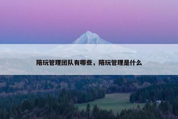 陪玩管理团队有哪些，陪玩管理是什么