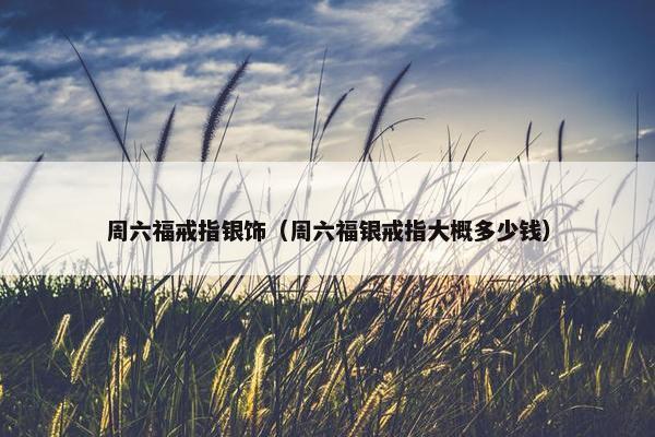 周六福戒指银饰（周六福银戒指大概多少钱）