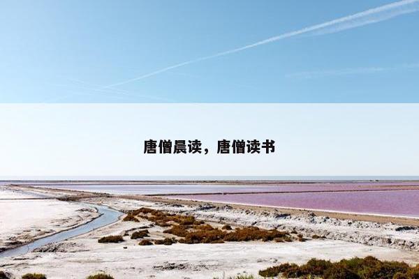 唐僧晨读，唐僧读书