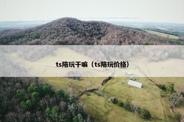 ts陪玩干嘛（ts陪玩价格）
