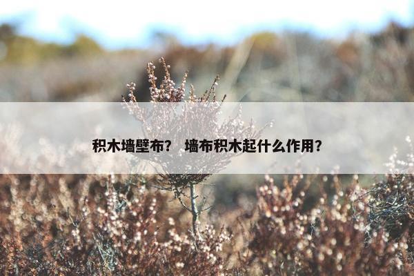积木墙壁布？ 墙布积木起什么作用？