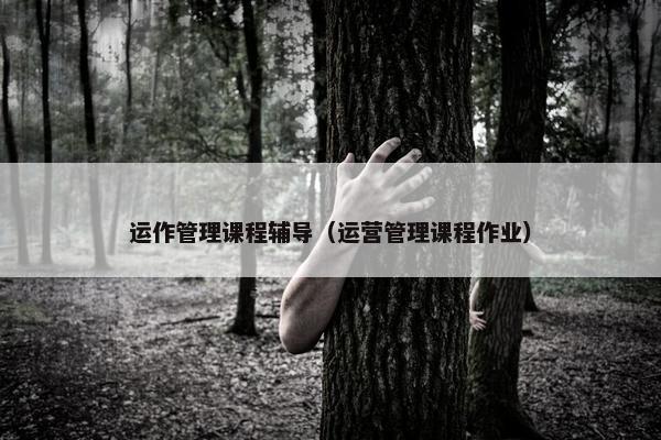 运作管理课程辅导（运营管理课程作业）