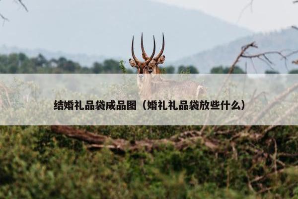 结婚礼品袋成品图（婚礼礼品袋放些什么）