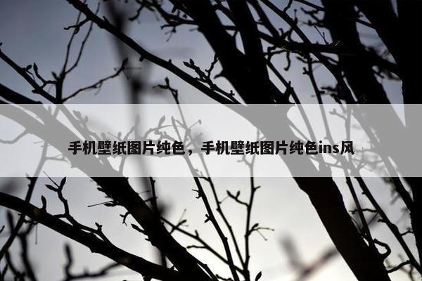 手机壁纸图片纯色，手机壁纸图片纯色ins风