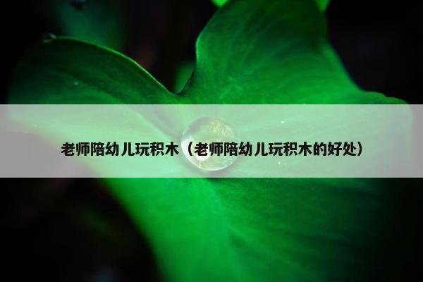 老师陪幼儿玩积木（老师陪幼儿玩积木的好处）
