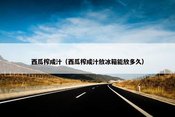 西瓜榨成汁（西瓜榨成汁放冰箱能放多久）
