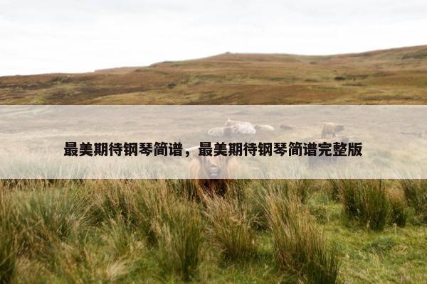 最美期待钢琴简谱，最美期待钢琴简谱完整版