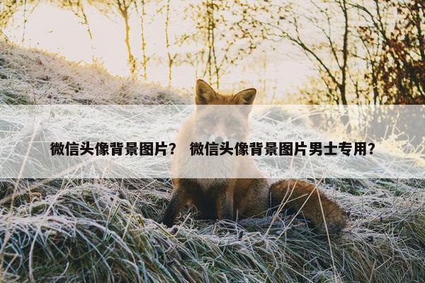 微信头像背景图片？ 微信头像背景图片男士专用？