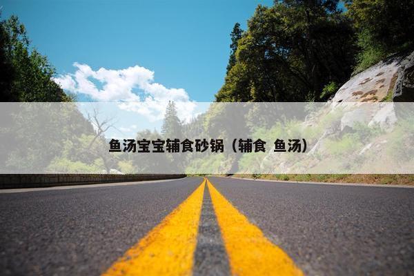 鱼汤宝宝辅食砂锅（辅食 鱼汤）