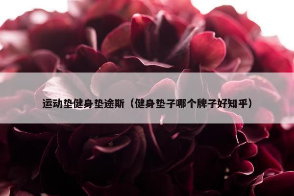 运动垫健身垫途斯（健身垫子哪个牌子好知乎）