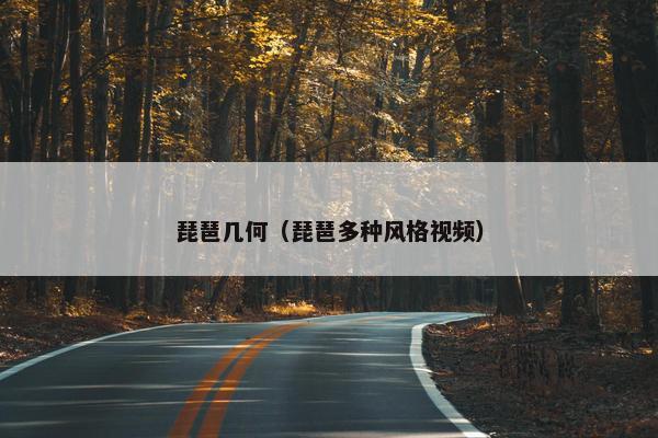 琵琶几何（琵琶多种风格视频）