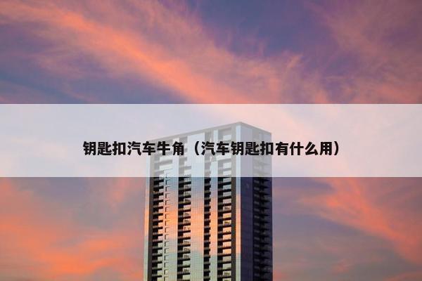 钥匙扣汽车牛角（汽车钥匙扣有什么用）