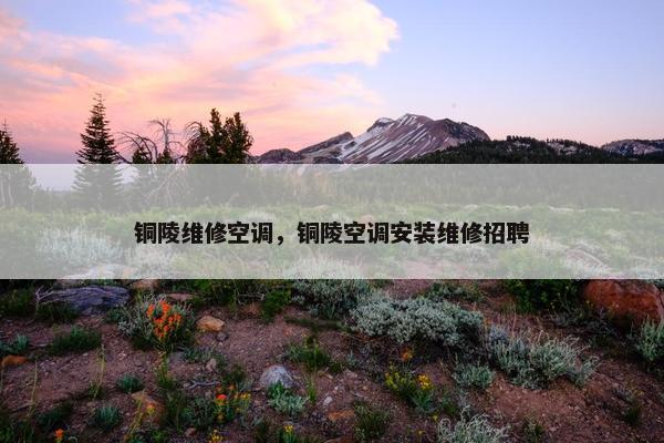 铜陵维修空调，铜陵空调安装维修招聘