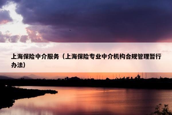 上海保险中介服务（上海保险专业中介机构合规管理暂行办法）
