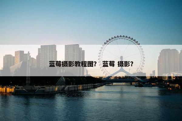 蓝莓摄影教程图？ 蓝莓 摄影？