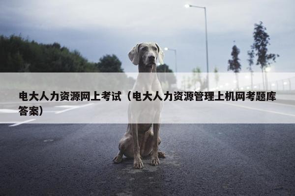 电大人力资源网上考试（电大人力资源管理上机网考题库答案）