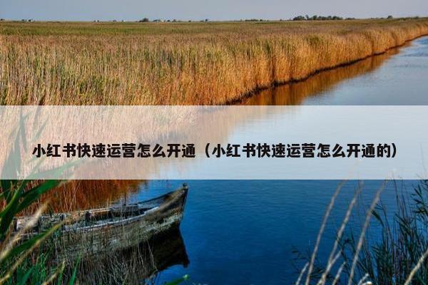 小红书快速运营怎么开通（小红书快速运营怎么开通的）