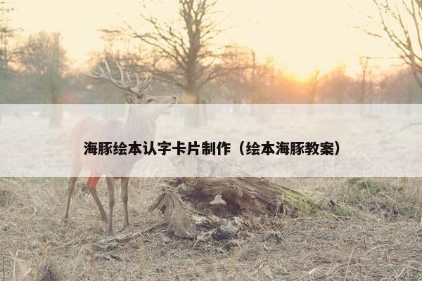 海豚绘本认字卡片制作（绘本海豚教案）