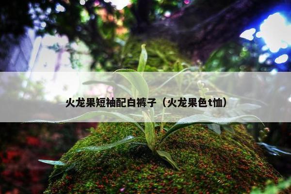 火龙果短袖配白裤子（火龙果色t恤）