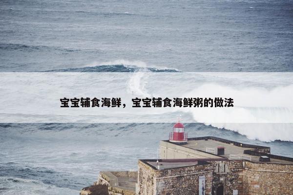 宝宝辅食海鲜，宝宝辅食海鲜粥的做法