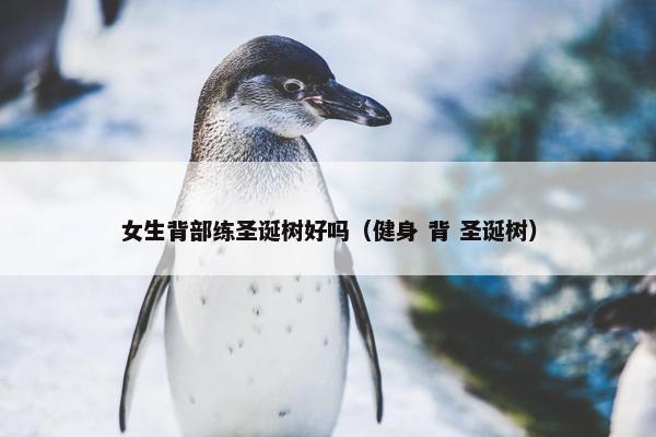 女生背部练圣诞树好吗（健身 背 圣诞树）