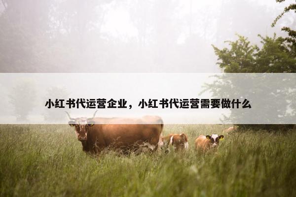 小红书代运营企业，小红书代运营需要做什么